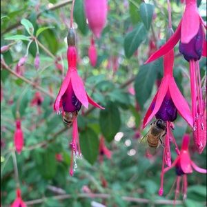 Meet your Posher, Gina